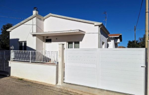CasaWhite